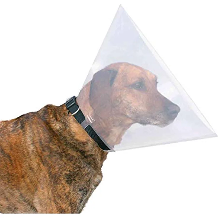 TRIXIE Premium Halsband gepolstert Neopren L-XL: 56-62 cm/25 mm Camouflage-Wald – Bild 2