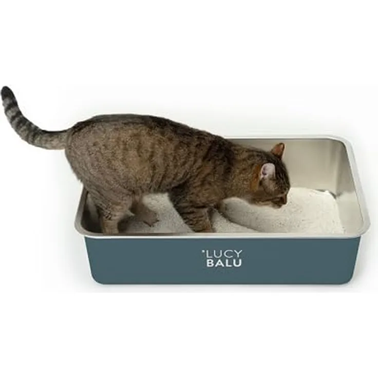 LucyBalu® Edelstahl Katzenklo geruchsfrei | große Katzentoilette aus Edelstahl | offenes Katzenklo Anthrazit