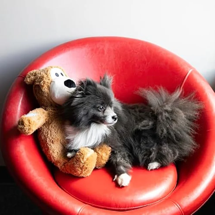 KONG Wild Knots Jumbo Bear, Riesiger Plüsch-Teddybär mit Seilskelett und Quietscher, ideal für Hunde aller Größen – Bild 3