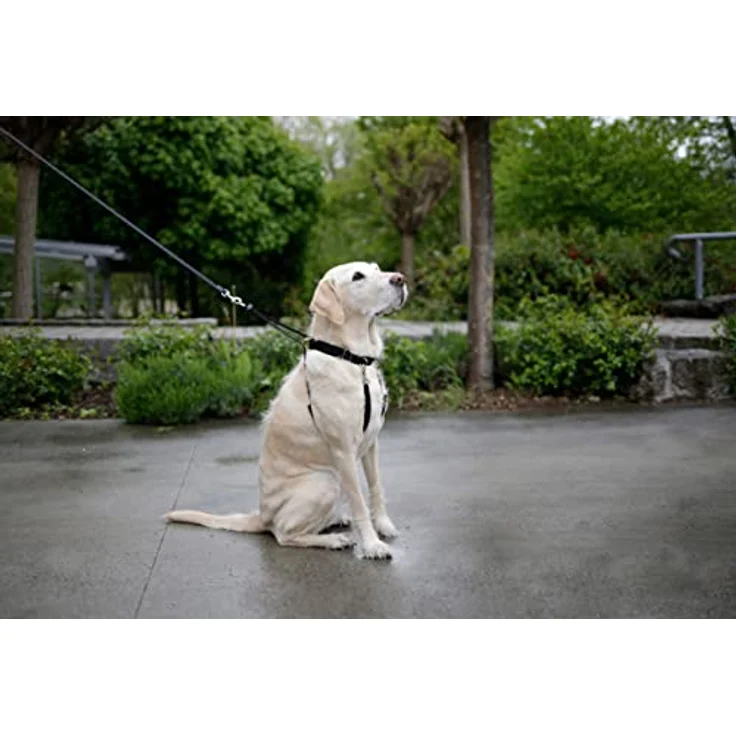 Kerbl Hundegeschirr Maxi Leader, verstellbares Trainingsgeschirr für Hunde, schwarz, Halsumfang 25-30 cm – Bild 3