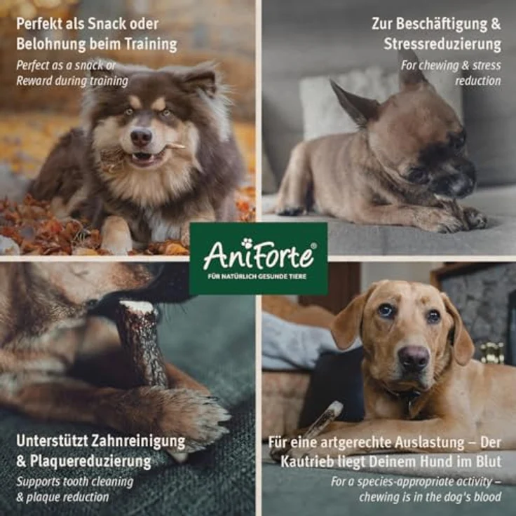 AniForte Hirschgeweih für Hunde S Kauspielzeug aus 100% Geweih – Kauknochen zur Beschäftigung & Zahnpflege, robust & langlebig, Kauwurzel, Kauholz Zahnhygiene, Abwurfprodukt vom Hirsch – Bild 3