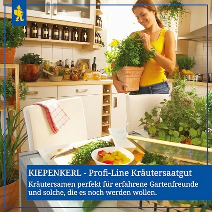 Kiepenkerl Bärlauch Waldknoblauch Allium ursinum – Bild 4