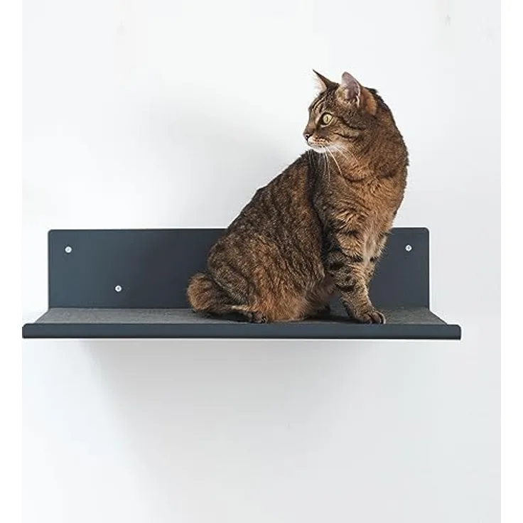 LucyBalu® Wandliege für Katzen | Katzenregal Anthrazit mit Filz-Auflage | Sichere Rückwand | Geborgenheit für deine Katze | Made in Germany