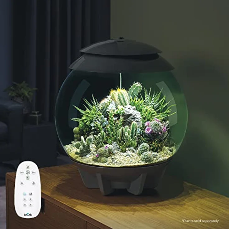 biOrb AIR 30, automatisches Terrarium in grau mit energieeffizienter LED-Beleuchtung und automatischer Pflege für exotische Pflanzen – Bild 2