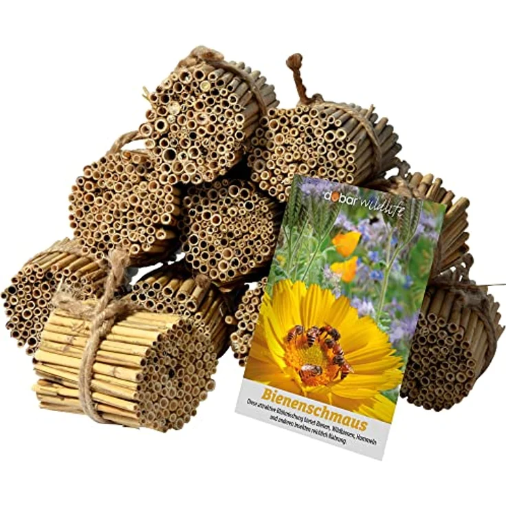 dobar® 22690e Schilfrohrhalme-Set 1.000 STK - Insektenhotel Bastelset - Schilfrohhalme für Wildbienenhotels - Wildbienennisthilfe aus Schilfhalmen inkl. Wildblumensamen - 9cm – Bild 1