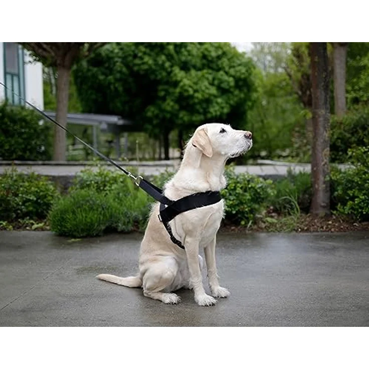 Kerbl MIAMI PLUS Geschirr, 60-75cm verstellbar, stabiles Nylongewebe, robuste Beschläge, schwarze Polsterung – Bild 4