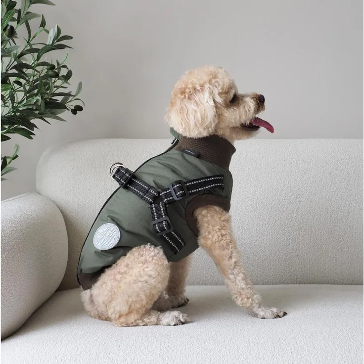 Nordic Paws Hundejacke Thor mit Geschirr, wasserabweisend und atmungsaktiv, 30cm, grün, XS
