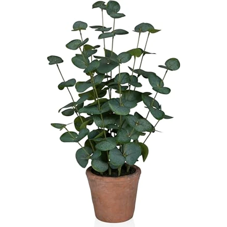 hjh OFFICE Kunstpflanze Eucalyptus, 48 cm – Pflegeleichte, immergrüne Dekopflanze aus hochwertigem Kunststoff für Wohnzimmer, Büro & Hotel, Grün – Bild 1