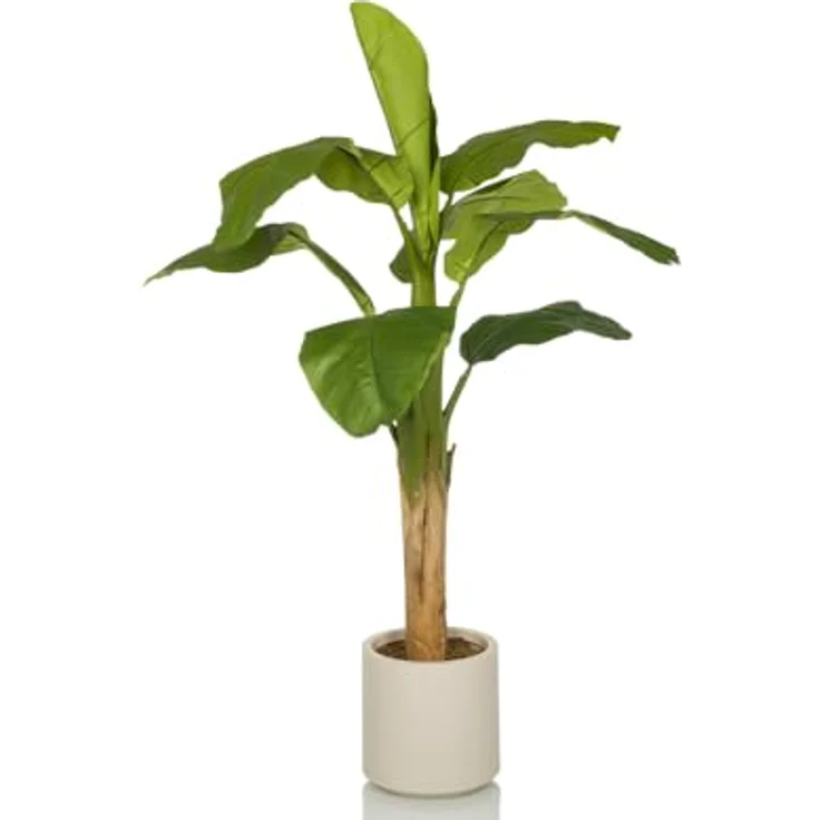 hjh OFFICE Kunstpflanze BANANE I 150cm Deko Kunstpflanze Pflegeleichte Bananenpflanze Kunstbaum für Wohnzimmer Schlafzimmer Büro, detailgetreue Optik, geruchsneutral, creme-weißer Kunststofftopf – Bild 1