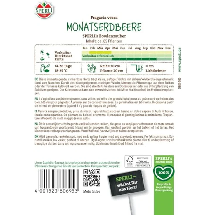 Sperli Monatserdbeeren Bowlenzauber – Bild 3
