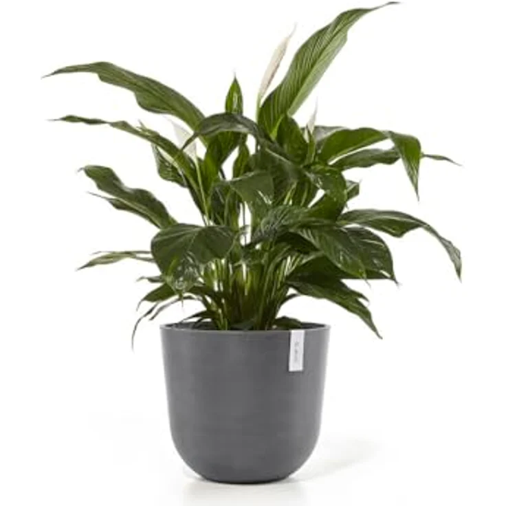 Ecopots Decolines 45 cm Ø graue Kunststoff-Blumentöpfe für den Außenbereich, wetterfest | Balkon- und Terrassentöpfe, Pflanzgefäße | Recyceltes Material, designed für 10 Jahre