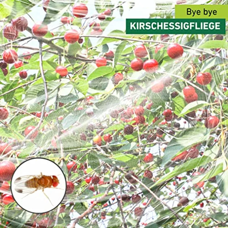 Windhager Schädlingsschutznetz, Kirschessigfliegennetz, 5x4 m, schützt Obstbäume vor Drosophila suzukii – Bild 2