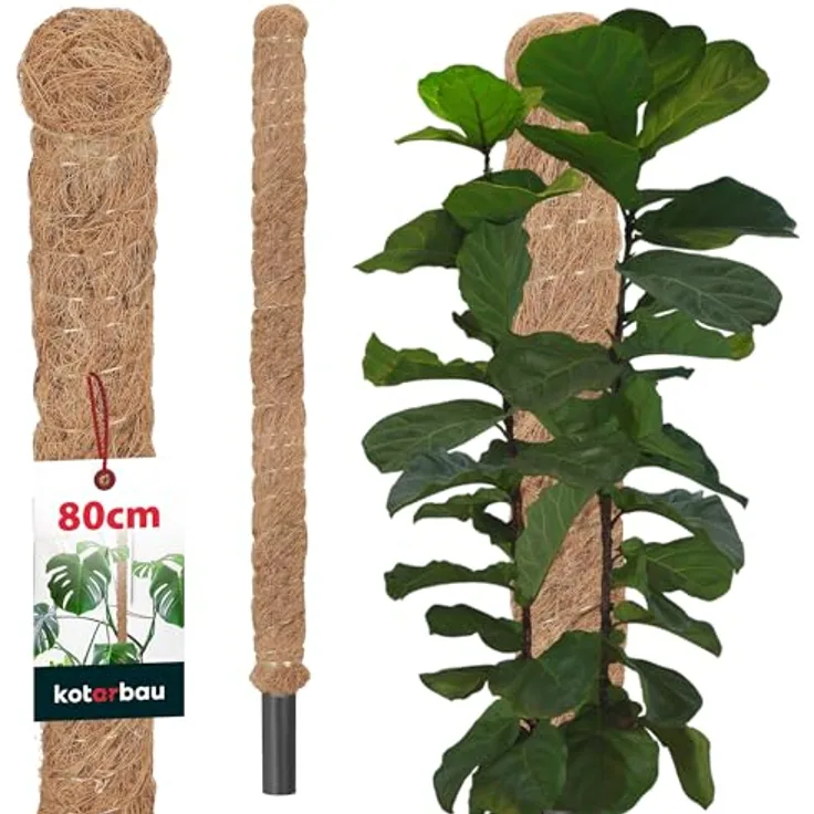 KOTARBAU® Moosstab für Monstera Kokos Natural ⌀ 3,2 x 80 cm, dekorativer Pflanzenstab aus Kokosfasern zur Rankhilfe für Monstera Pflanzen