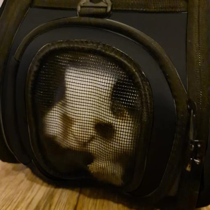 Redfink Tiertransporttasche Hundetransportbox Hundebox Hundetasche Katzenbox Katzentasche, Schwarze Tasche aus EVA-Schaum, bis zu 6 kg, faltbar, mit belüfteten Löchern, verstellbarem Schultergurt - Preisvergleich – Bild 3