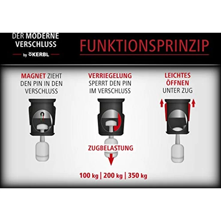 GOLEYGO Hundeleine Vegas, Braun, Echtes Leder, Größe M 1,05-1,65m, Sicherer Magnetverschluss, Inkl. Adapter-Pin, Hundeleine für kleine Hunde bis 60kg, Maximale Belastung 200kg – Bild 4