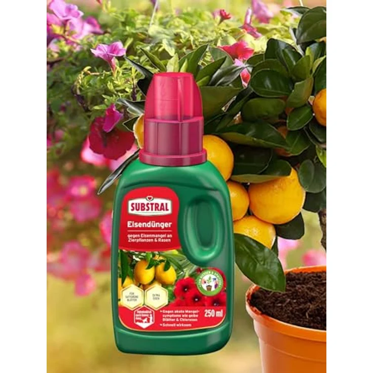 Substral Eisendünger 250 ml – Bild 4