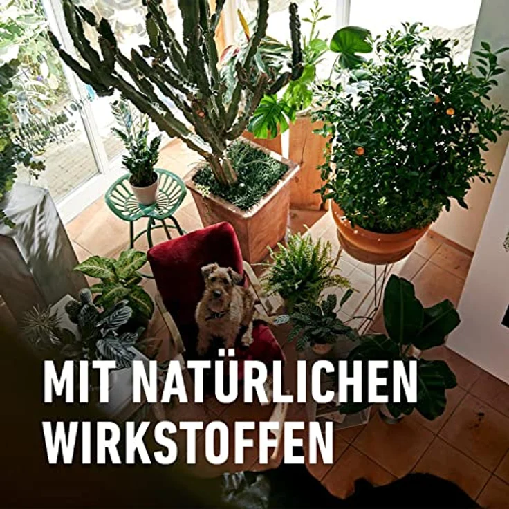 COMPO Triathlon Insekten-frei AF 750 ml – Bild 7