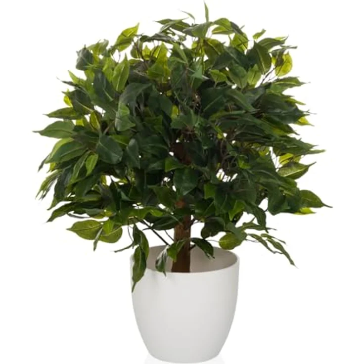 hjh OFFICE Kunstpflanze 65 cm FICUS II Deko Pflanze künstlich, Birkenfeige in natürlicher Optik, pflegeleichter Kunstbaum – Bild 1
