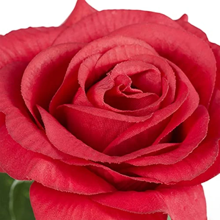 relaxdays Kunstblume Ewige Rose im Glas mit Licht, Höhe 22 cm, handgefertigt aus hochwertigen Materialien, romantische Atmosphäre (Rot) – Bild 8
