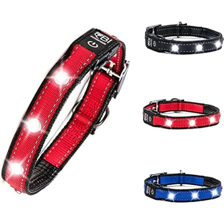 BI INTERNATIONAL ® Hundehalsband Leuchtend & Aufladbar - Wasserdichtes LED Leucht-Halsband für Hunde aus Verstärktem Nylon - Hochwertig & Sicher mit starker Leuchtkraft (L, Rot) - Preisvergleich – Bild 1