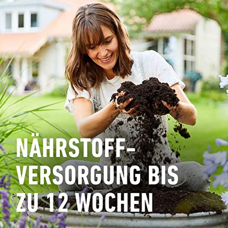 COMPO Sana Grünpflanzen- und Palmenerde 5 Liter – Bild 2