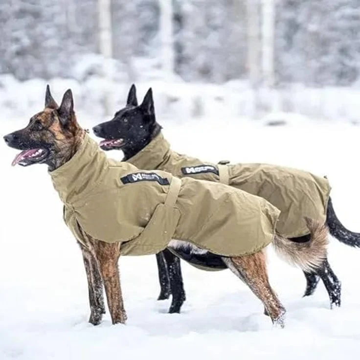 Non-stop dogwear Glacier Dog Jacket Wording Dog Olive (70), Taktische Winterjacke für Hunde mit Patches – Bild 2