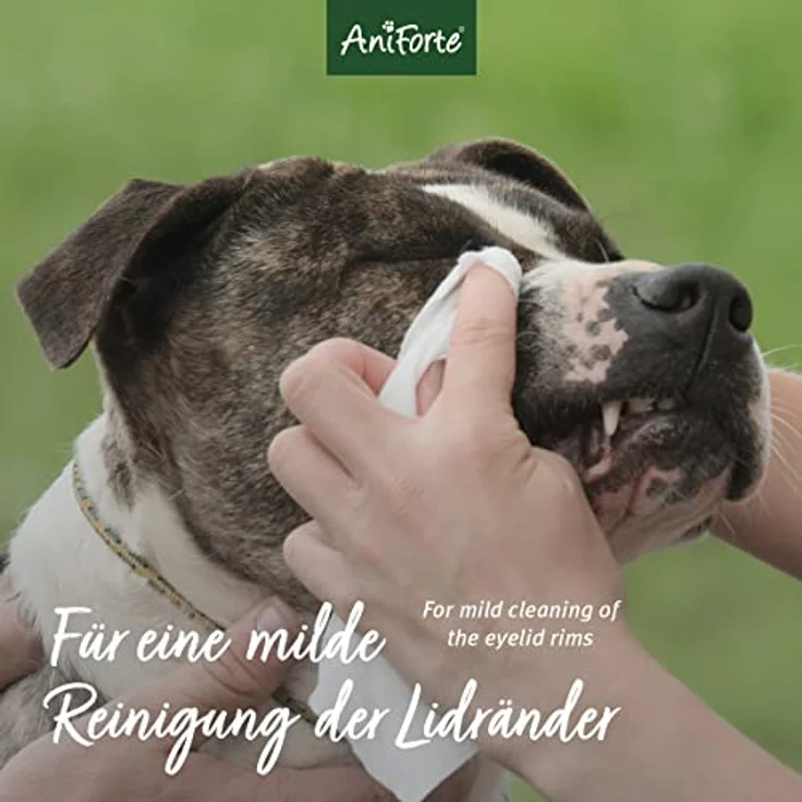 AniForte Sanfte Augenpflege 30ml - Augenreiniger für Hunde, Katzen & Kleintiere – Bild 4