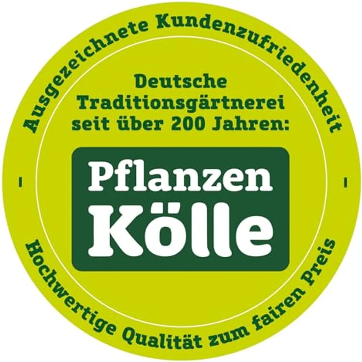 Stöckli Giesskanne 4 l, rot – Bild 3