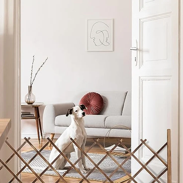 Relaxdays Rankgitter Holz, ausziehbar bis 185 cm, Rankhilfe Kletterpflanzen, Scherengitter freistehend, Garten, Natur – Bild 5