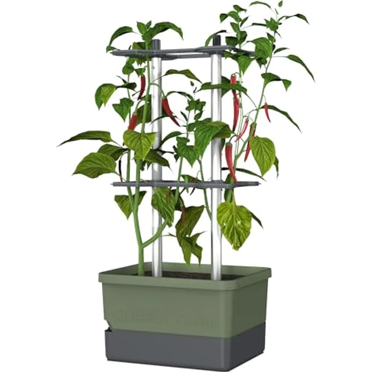 Gusta Garden Pflanzkübel CHARLY CHILI, mit automatischem Bewässerungssystem und stabiler Rankhilfe, Dunkelgrün
