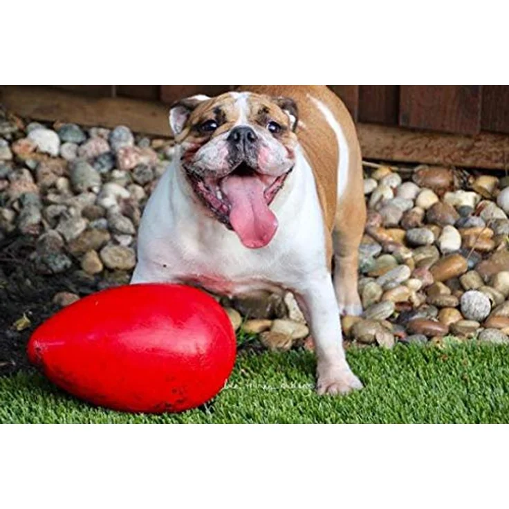 Jolly Pets - Ei - 30 cm - 1 Stück, JE12 RD, Multi, 1 Stück (1er Pack) – Bild 2