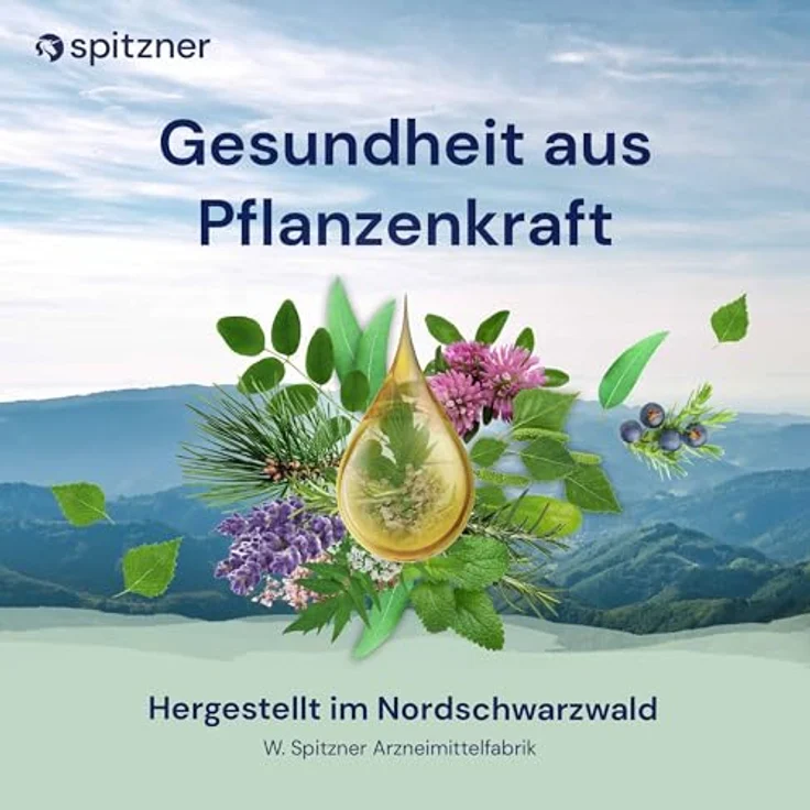 Spitzner Saunaaufguss Orange Wellness, 190 ml Konzentrat mit ätherischem Orangenöl – Bild 5