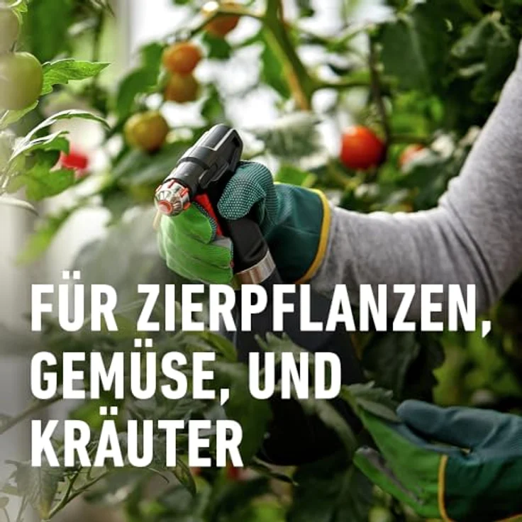 COMPO BIO Insekten-frei Neem 75 ml Bekämpfung von Schädlingen (u.a. Buchsbaumzünsler) an Zierpflanzen, Kartoffeln, Gemüse und Kräutern – Bild 6