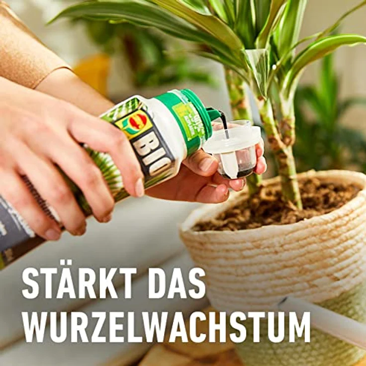 COMPO BIO Palmendünger, Spezial-Flüssig-Dünger für Zimmer-, Balkon- und Terrassenpflanzen mit extra Magnesium und Eisen, 500 ml – Bild 4