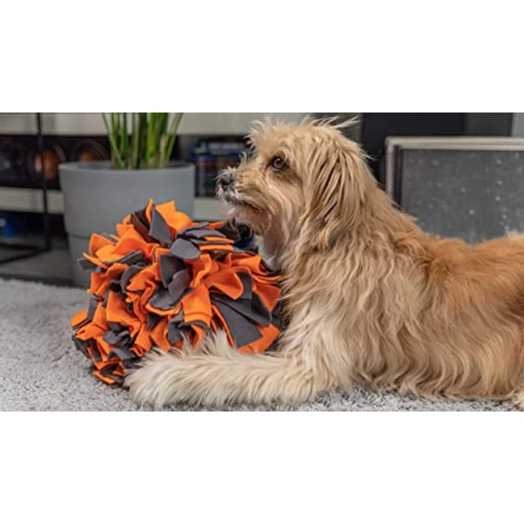 TrendPet Schnüffelball - 25cm Durchmesser, Aktivspielzeug für Hunde, Orange – Bild 5