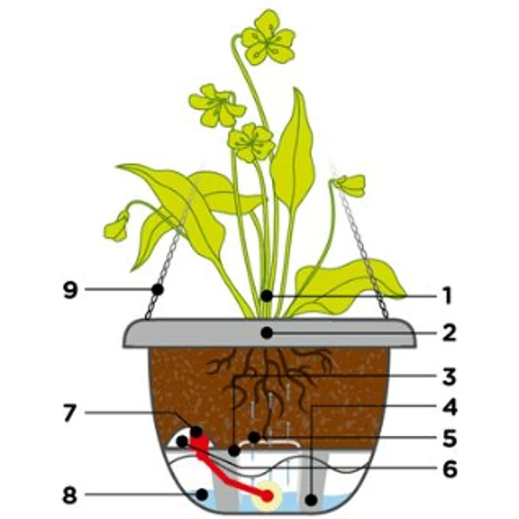 Schumm Blumenampel Mareta, 30 cm Durchmesser cremefarben sandfarben – Bild 4
