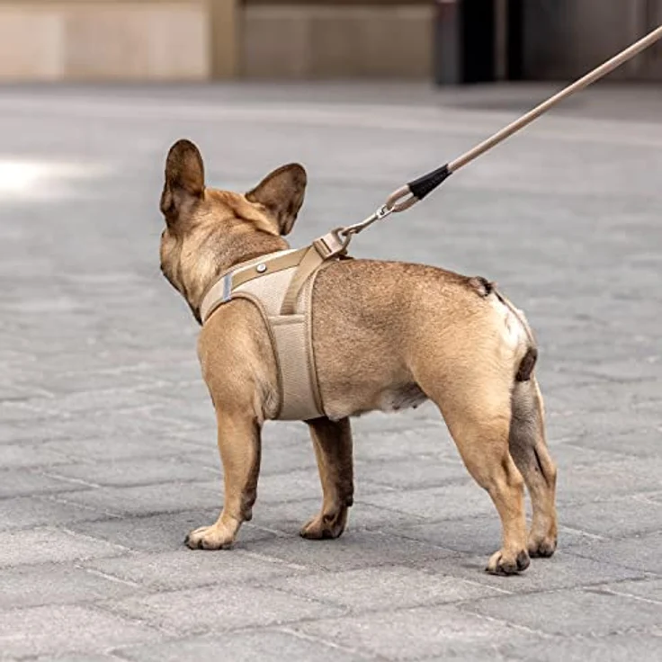 Curli Hunde-Geschirr Clasp Vest Cord tan, mit Curli-Verschluss und reflektierenden Elementen – Bild 6