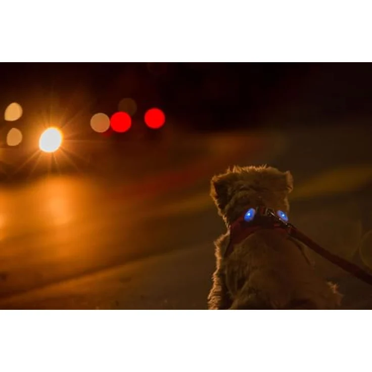 plum LED Schwarz, Schwarz – Bild 4