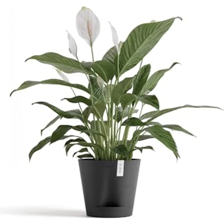 Ecopots Venedig 2 Pflanzgefäß, Selbstbewässerungssystem aus 80 % recyceltem Material, handgefertigte Oberfläche, für innen und außen geeignet – Bild 3
