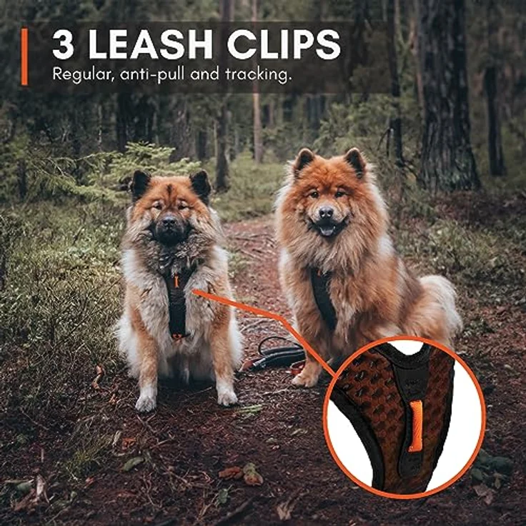 Non-stop dogwear Rock Harness |130| Führ- und Alltagsgeschirr, atmungsaktiv, Größe:L – Bild 3