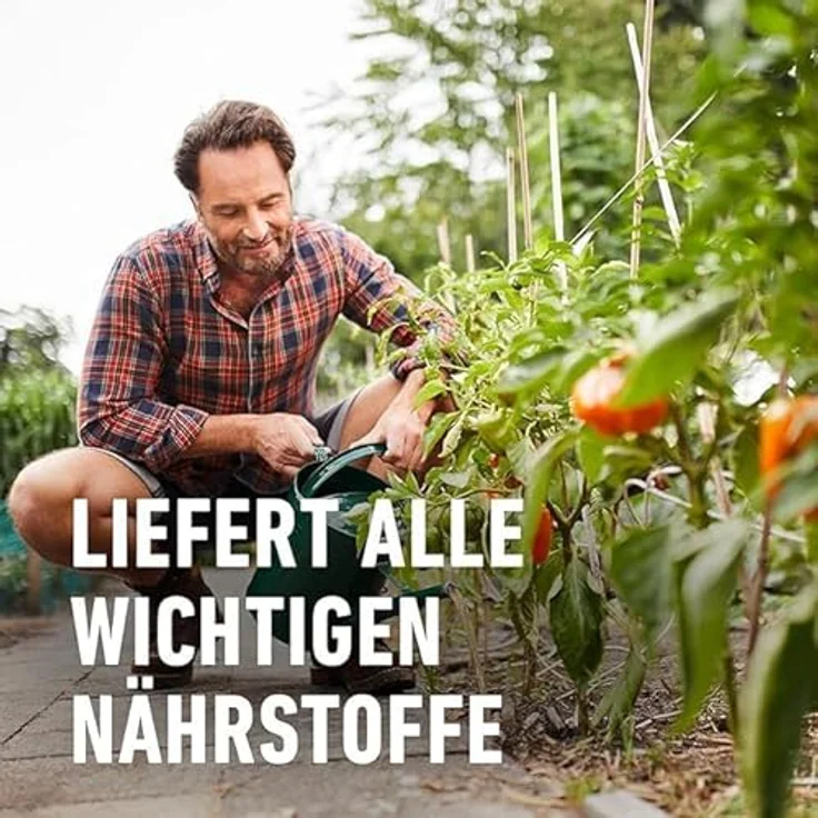 Compo BIO Obst- und Gemüsedünger, 1 Liter – Bild 5