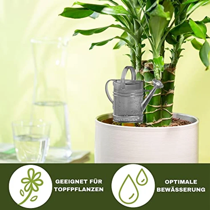 Scheurich Wasserspeicher Gießkanne, 110 ml mit wasserdurchlässigem Tonkegel für Innen und Außen – Bild 3