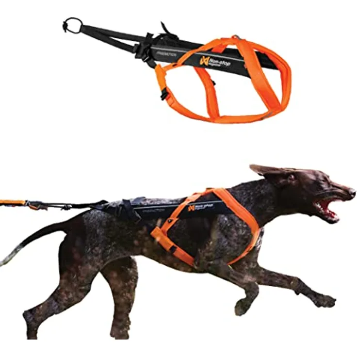 Non-stop dogwear Freemotion Harness 5.0, ergonomisches Hunde-Geschirr für alle Sportarten, Größe 8, orange/schwarz