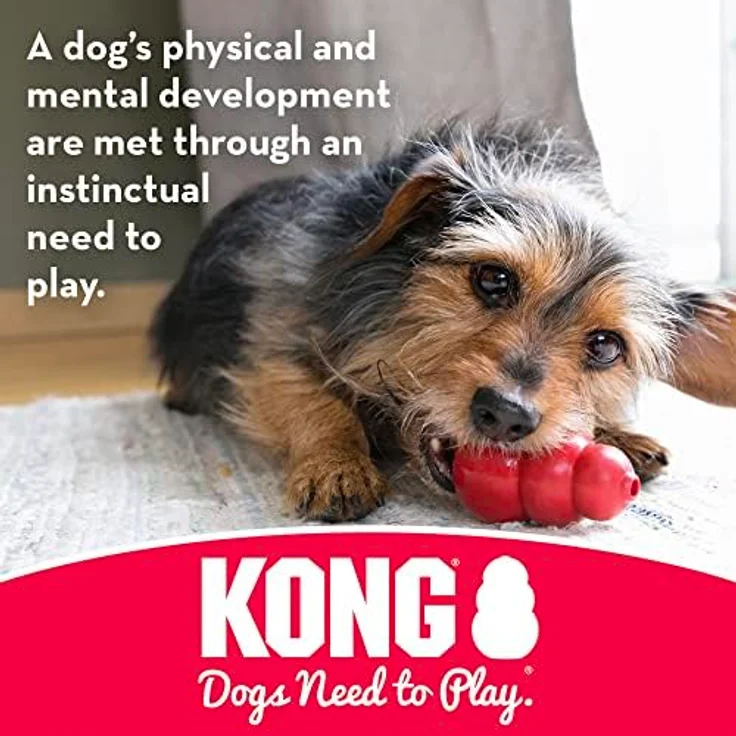 KONG – Extreme Goodie Bone – Robuster Kautschukknochen für Kräftiges Kauen, Schwarz – Für Große Hunde – Bild 5