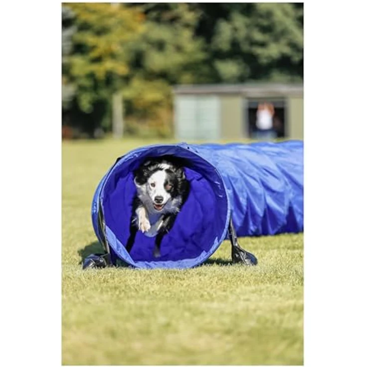 Trixie Dog Activity Agility Basic Tunnel ø 60 cm 5 m blau – Bild 2