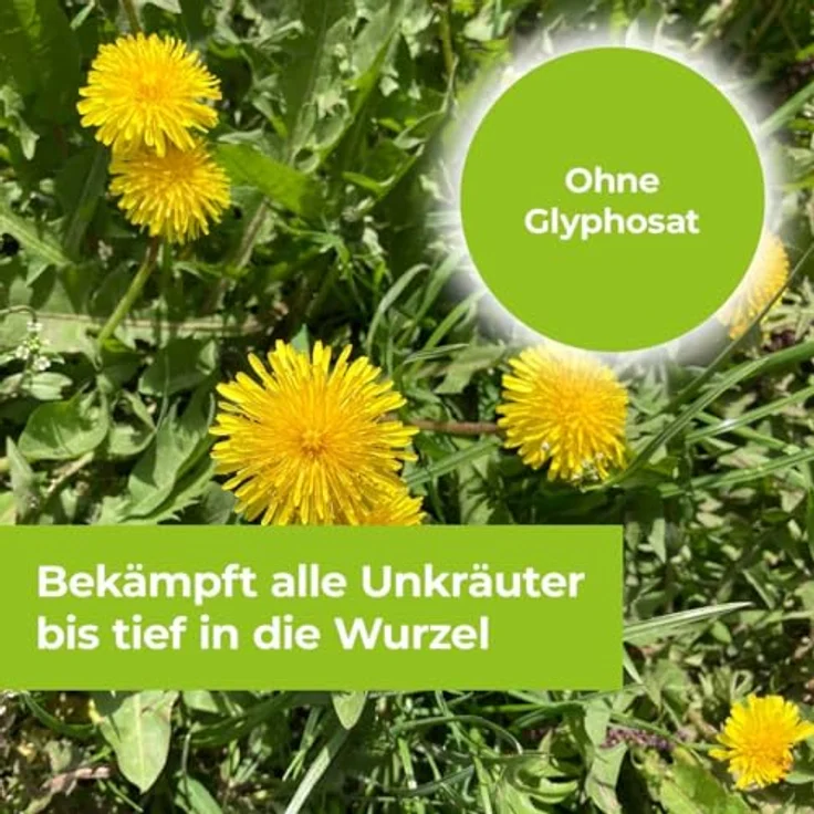 Protect Garden Permaclean Duo Unkraut & Wurzel-Ex 1l, Effektives Unkrautmittel mit zweifach Wirkung gegen alle Unkräuter, Glyphosatfrei – Bild 5