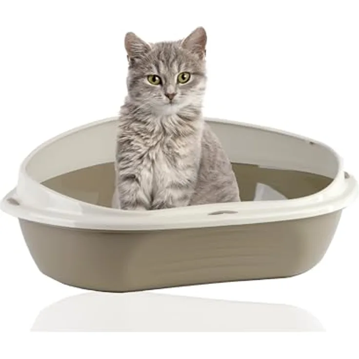 Rohrschneider® Eckiges Katzenklo | Katzentoilette für große Katzen | Katzenklo mit hohem Rand | platzsparende Ecktoilette Katze | Katzenklo in modernen Design | Katzentoilette groß (Grau)