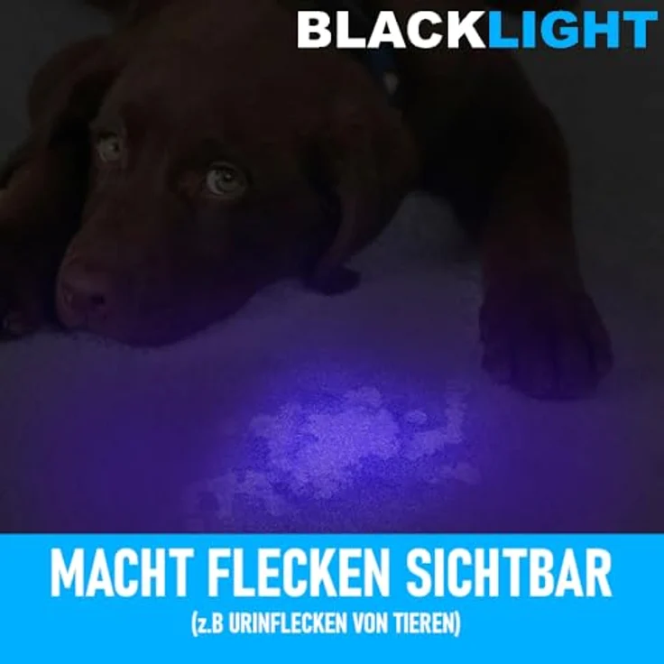 MAVURA BLACKLIGHT Schwarzlicht LED UV Taschenlampe für Bernstein, Urinflecken, Banknoten u.v.m. – Bild 2