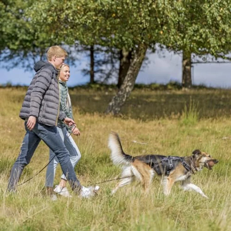 Trixie Rustic Fettleder Schleppleine (S, L, Hund), Halsband + Leine – Bild 6