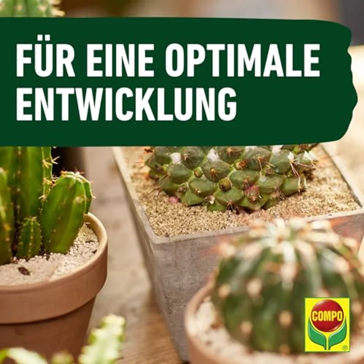 Compo Kakteendünger u. Bonsaidünger250 ml – Bild 8